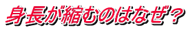 身長が縮むのはなぜ？                         　